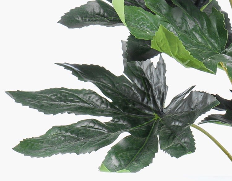 Schwarzer Kunststofftopf mit grünem Pflanzenstiel.