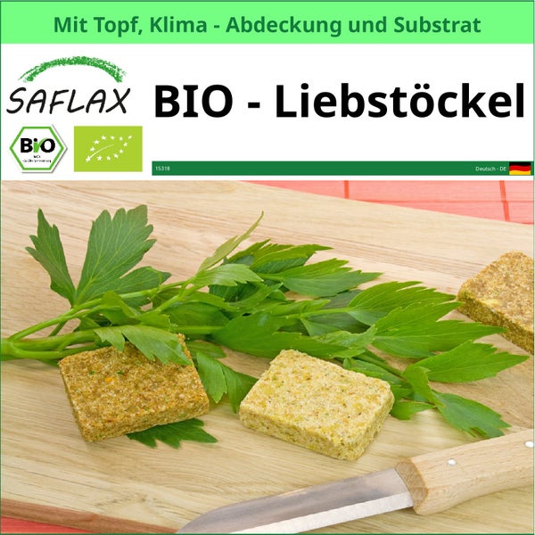 Saflax Bio Liebstöckel mit Topf, Klimaabdeckung und Substrat auf einem Holzbrett mit einem Messer.
