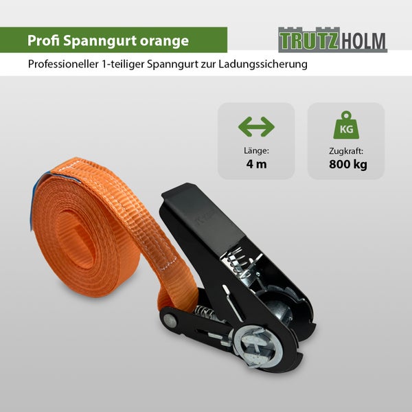 Ein-teiliger Profi Spanngurt von Trutzholm mit Ratsche, vier Meter lang und achthundert Kilogramm Zugkraft zur Ladungssicherung.