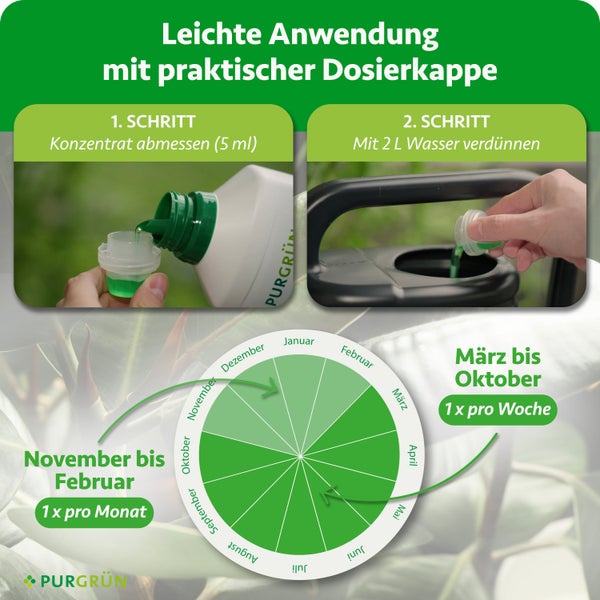 Infografik zur Anwendung von Purgrün Flüssigdünger: 5 Milliliter Konzentrat abmessen, mit 2 Liter Wasser verdünnen. Anwendungskalender enthalten.