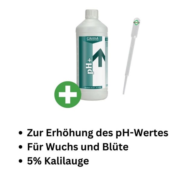 Canna pH+ Plus 1 Liter – pH-Regulator für Optimierung der Nährstoffaufnahme – Fördert gesundes Wachstum und höhere Erträge – Inklusive Pipette für präzise Dosierung