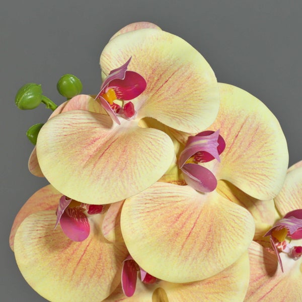 Künstliche Orchideenblüten in Gelb und Pink mit grünen Knospen für Dekoration.