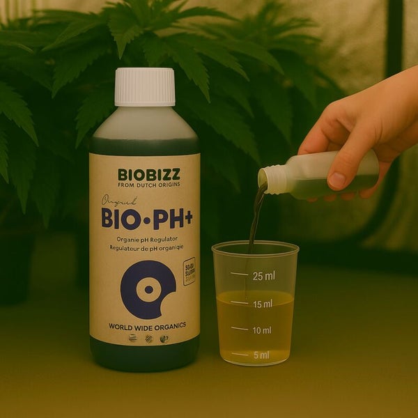 Biobizz Bio-pH+ organischer pH-Regulator, Dosierung der Flüssigkeit in einen Messbecher neben einer Pflanze.