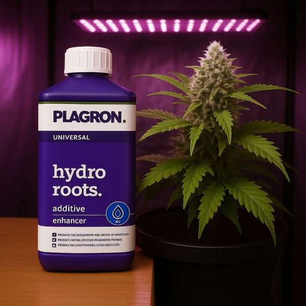 Plagron Universal Hydro Roots Zusatzstoff neben einer Topfpflanze unter Pflanzenlicht