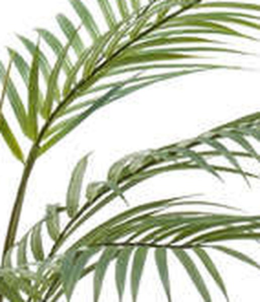 Künstliche Monstera Adansonii Pflanze mit grünen, gelochten Blättern.