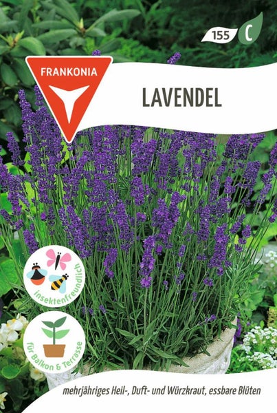 Lavendel Pflanze im Topf mit Hinweisen zu insektenfreundlich und geeignet für Balkon und Terrasse