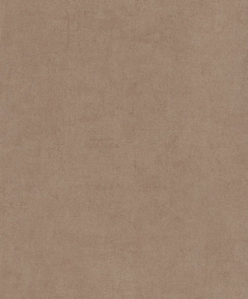 Blick nach oben durch Baumkronen mit Herbstlaub und Sonnenschein