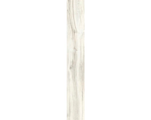 Wand- und Bodenfliese Aretino ivory 23,4x148cm rektifiziert