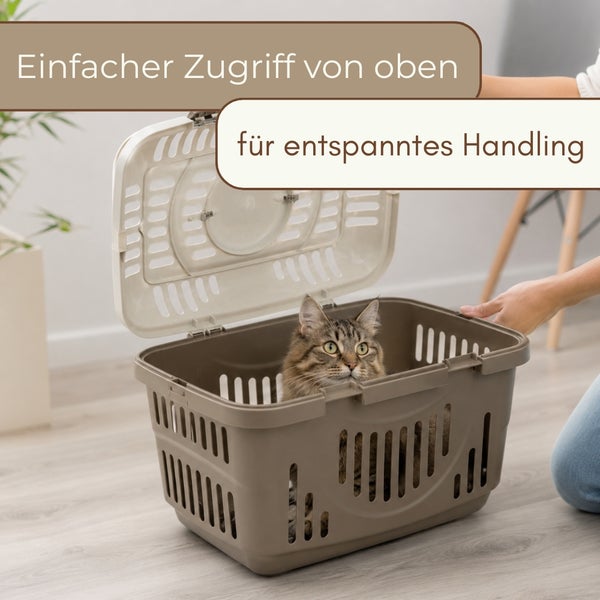 Katze in einer Kunststoff-Transportbox mit geöffnetem Deckel für einfachen Zugriff von oben und Belüftungsschlitzen.