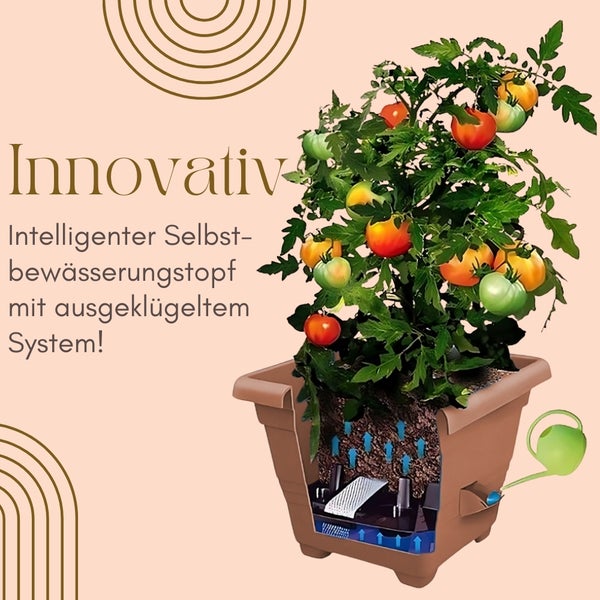 Selbstbewässerungstopf mit Tomatenpflanze und Bewässerungssystem