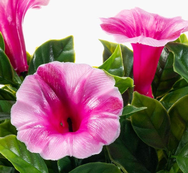 Künstliche Dipladenia aus Kunststoff mit rosa Blüten und grünen Blättern.