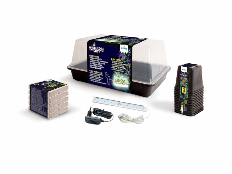 Romberg Homegrow Basic Starter Box für die Pflanzenanzucht | Set mit Gewächshaus, Beleuchtung & Pop Up Erde für Homegrowing