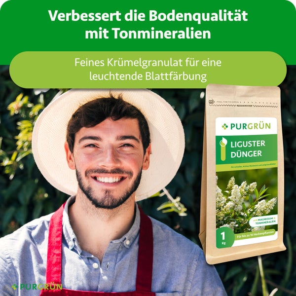 Gärtner lächelt neben einer 1 Kilogramm Packung Purgrün Liguster-Dünger mit Tonmineralien für Bodenqualität und Blattfärbung.