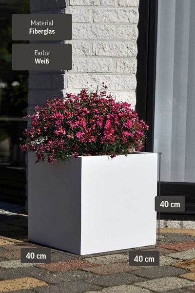 Quadratischer weißer Pflanzkübel aus Fiberglas, 40 mal 40 mal 40 Zentimeter, bepflanzt mit rosa Blumen auf Steinboden.