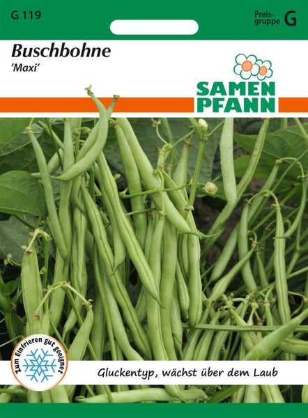 Samenpackung Buschbohne 'Maxi' der Marke Samen Pfann