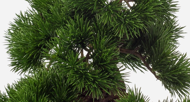 Nahaufnahme einer künstlichen Bonsai-Kiefer mit dichten grünen Nadeln und braunen Ästen.