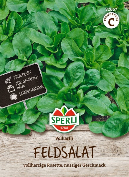 Sperli Saatgut Feldsalat Volhart 3 für eine reiche Ernte im Garten