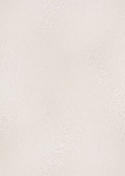 Rollwin Gurtwickler zur Montage mit zwei Schrauben