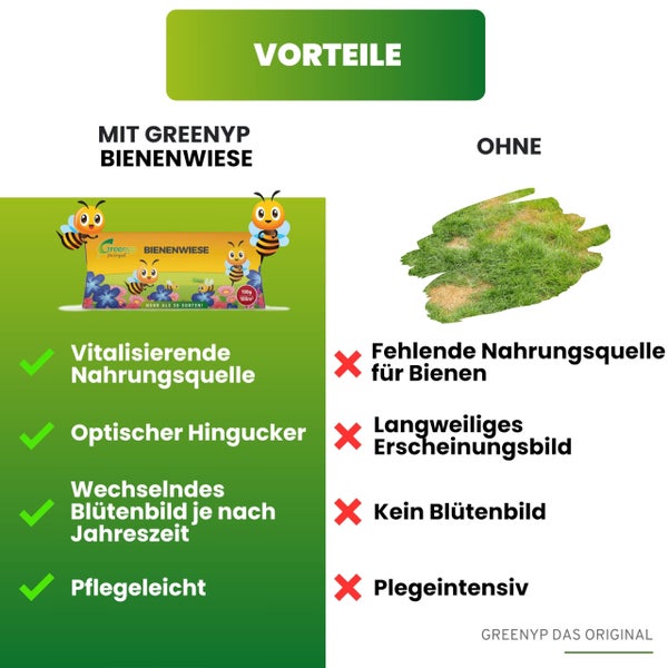 Greenyp Bienenwiese Blumenmischung I 100g für 100m² I Bienenweide - Bienen & Hummelmagnet I bienenfreundliche Blumensamen Mischung ein- und mehrjährig