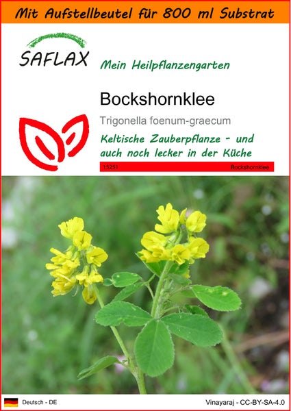 SAFLAX Garden in the bag - Bockshornklee - Trigonella foenum-graecum - 100 Samen - Mit Anzuchtsubstrat im praktischen, selbst aufstellenden Beutel