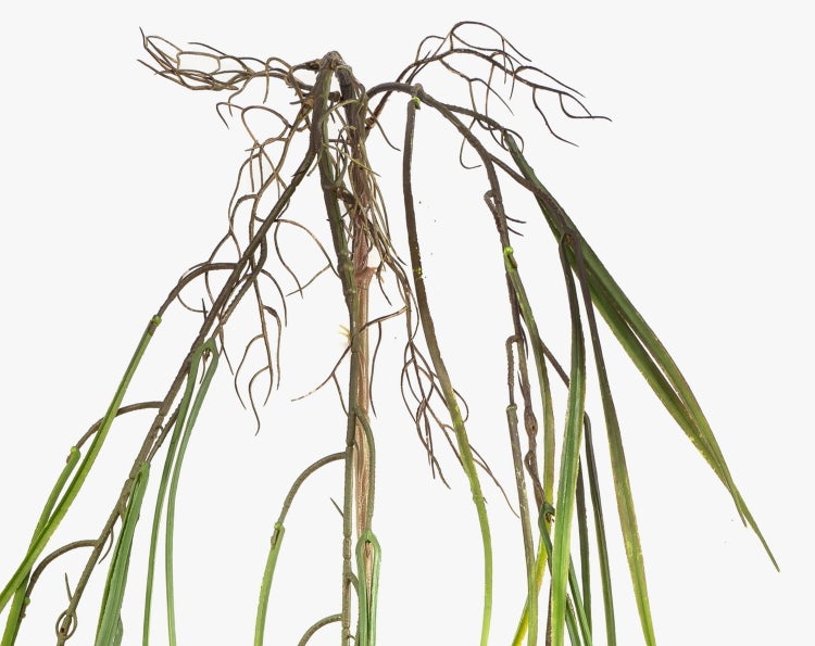 Künstliche Hängepflanze mit langen, schmalen Blättern in Grün und Braun.