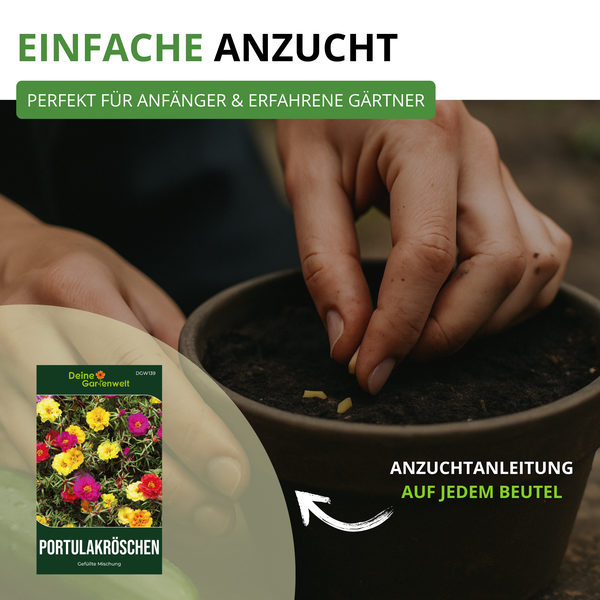 Anzuchtanleitung für Portulakröschen auf der Beutelrückseite