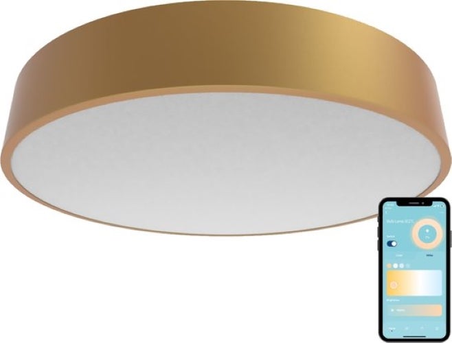 Gologi Smart Ceiling Lamp Gold - Deckenleuchten - LED RGB - Deckenleuchte - Industrial - Deckenleuchte gold - Schlafzimmer & Wohnzimmer - 30cm