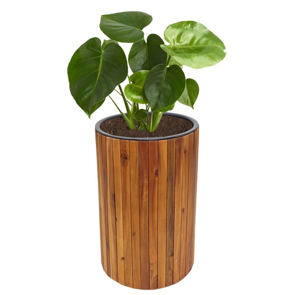 Monstera Pflanze mit großen grünen Blättern in einem hohen zylindrischen Pflanzgefäß aus Holzlatten.