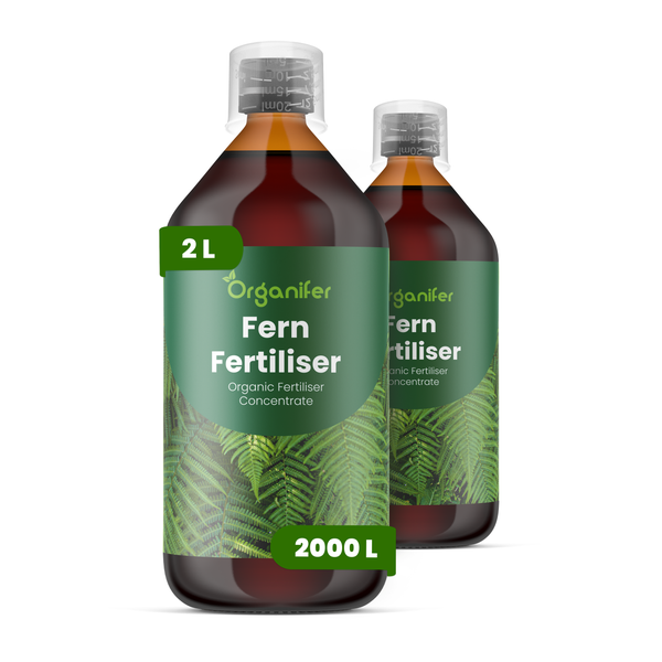Organifer Farn-Dünger, organisches Düngerkonzentrat, 2-Liter-Flasche für bis zu 2000 Liter.