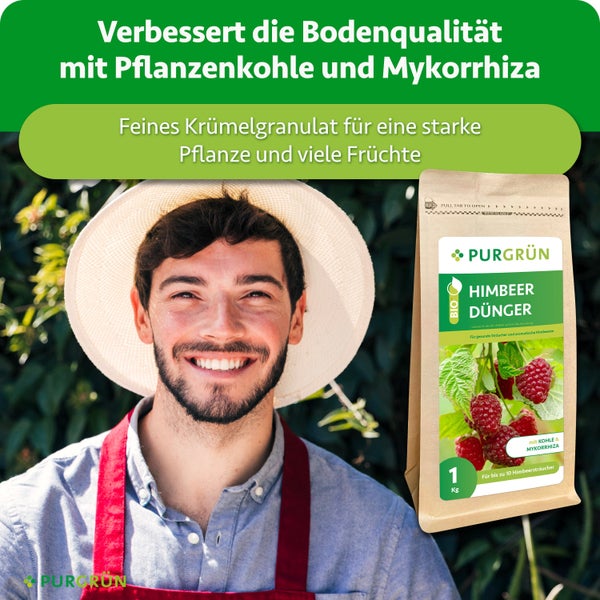 Ein glücklicher Gärtner mit einem Beutel Purgrün Himbeerdünger, angereichert mit Pflanzenkohle und Mykorrhiza für gesundes Wachstum und viele Früchte.
