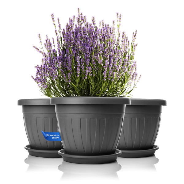 Drei runde Pflanzkuebel aus Kunststoff mit Untersetzer und Lavendel, hergestellt in Europa.