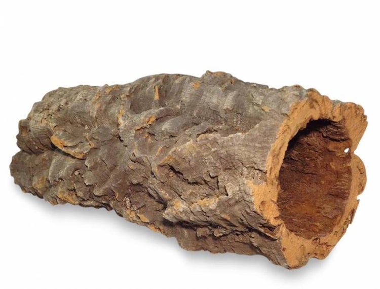 Hohlgeformte Korkröhre aus natürlicher Rinde als Zubehör für Terrarien oder Kleintiere.