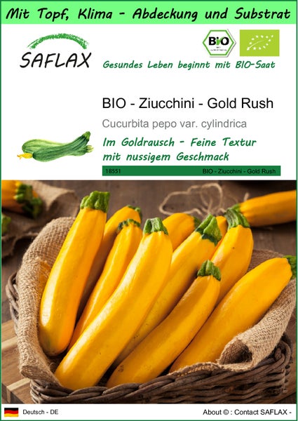 SAFLAX Garden to go - BIO - Ziucchini - Gold Rush - Cucurbita pepo var. cylindrica - 5 Samen - Mit Topf, Klima - Deckel und Anzuchtsubstrat