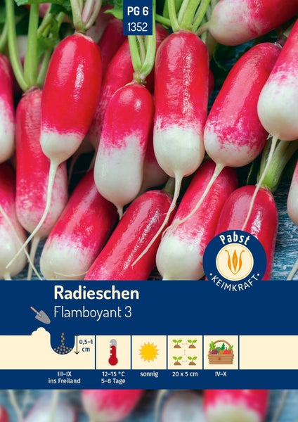 Radieschen Flamboyant 3 Saatgut von Pabst Keimkraft Logo. Langovale Radieschen. Aussaat März bis September im Freiland, Ernte April bis Oktober.