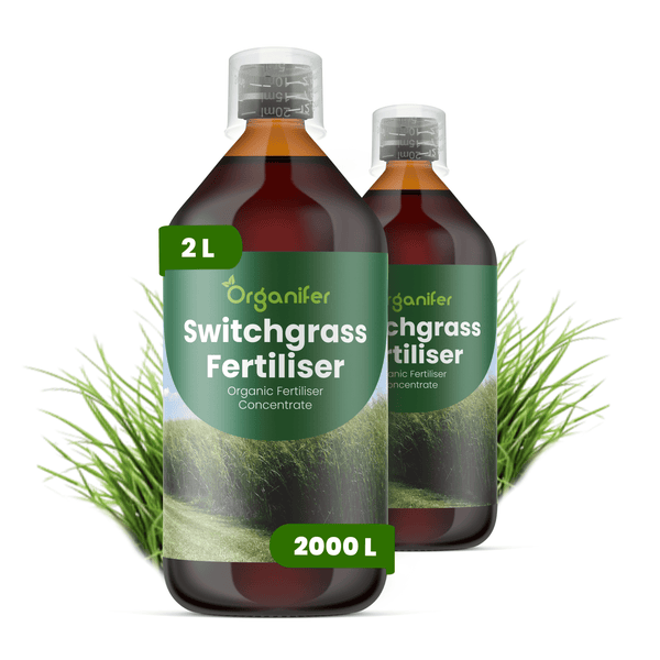 Zwei Flaschen Organifer Rutenhirse-Dünger Konzentrat, organischer Flüssigdünger, 2 Liter.