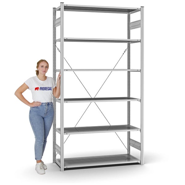 PROREGAL Profi Lagerregal Stecksystem T-Profil Grundregal HxBxT 250 x 130 x 50 cm Fachlast 100 kg Verzinkt