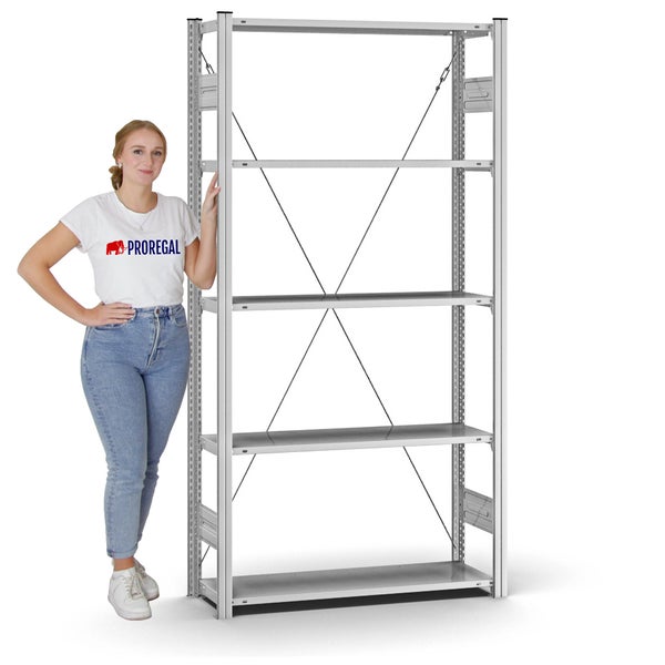PROREGAL Profi Lagerregal Stecksystem T-Profil Grundregal HxBxT 200 x 100 x 30 cm Fachlast 125 kg Verzinkt