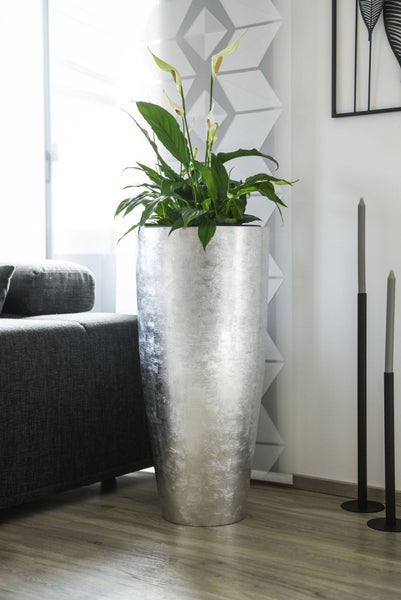 Moderner Wohnbereich mit einem hohen silbernen Pflanzgefäß, Einblatt-Pflanze, grauem Sofa, Wanddeko und gemusterten Vorhängen.