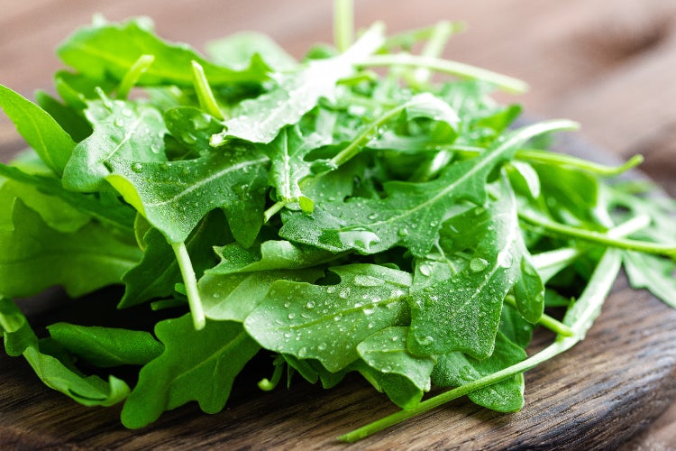 SAFLAX Garden to go - BIO - Ruccola - Eruca sativa - 3000 Samen - Mit Topf, Klima - Deckel und Anzuchtsubstrat