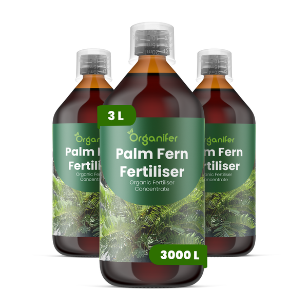 Organifer Orchideendünger, organisches Düngerkonzentrat, drei Flaschen, 3 Liter.