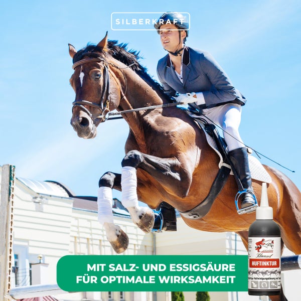 Klausol Huftinktur für Pferde – Pflegelösung gegen Strahlfäule & Hufprobleme – Zur Reinigung & Pflege bei Hufrissen, übelriechendem Strahl & feuchten Hufpartien
