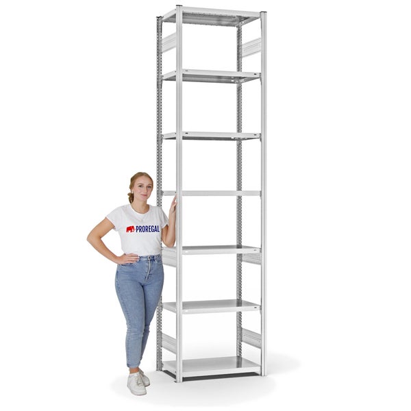 PROREGAL Fachbodenregal Stecksystem T-Profil Light-Duty Grundregal HxBxT 300 x 75 x 40 cm 7 Ebenen Fachlast 145 kg Beidseitig Nutzbar Lichtgrau