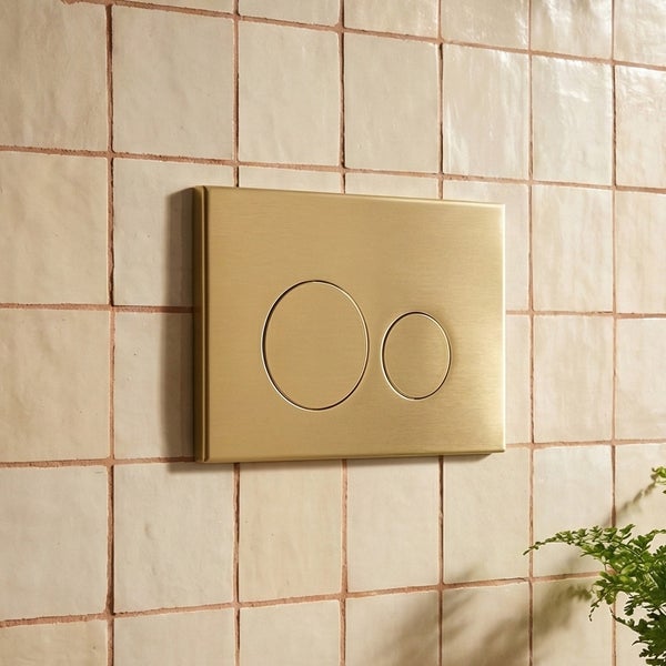 Betätigungsplatte für die Toilettenspülung mit zwei Tasten