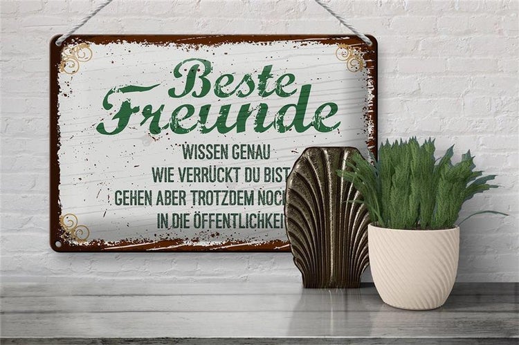 Blechschild Spruch 30x20cm Beste Freunde wissen grün braun