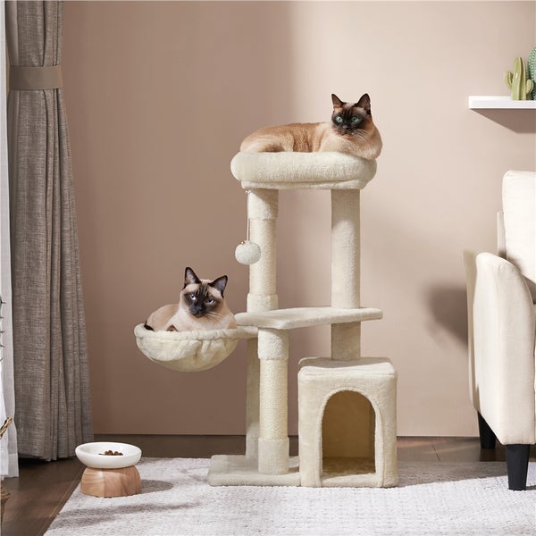 Katzenkratzbaum mit zwei Siamkatzen in einem hellen Raum.