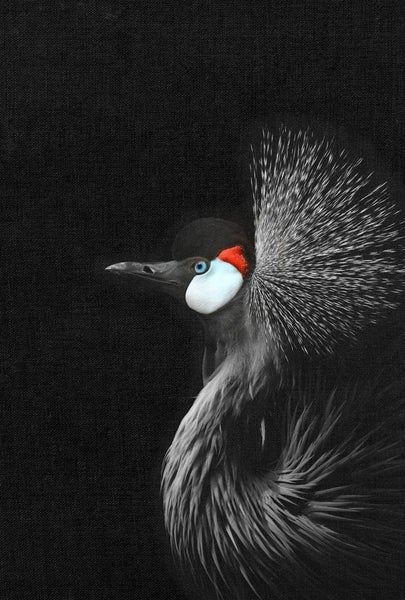 Dekoratives Bild eines Graukranichs