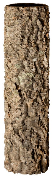 Naturkork-Röhre für Terrarien und Dekoration, hohler Korkstamm aus echter Korkrinde.