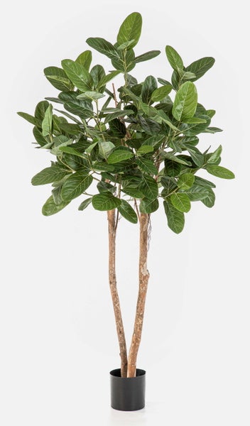 Künstliche Pflanze Ficus mit zwei Naturstämmen und grünen Blättern in einem schwarzen Topf.