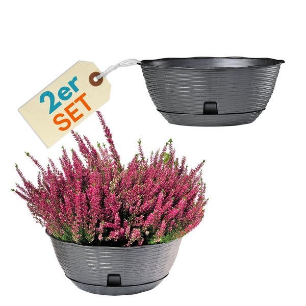 Zweiteiliges Set aus Hängetöpfen mit Heidekraut