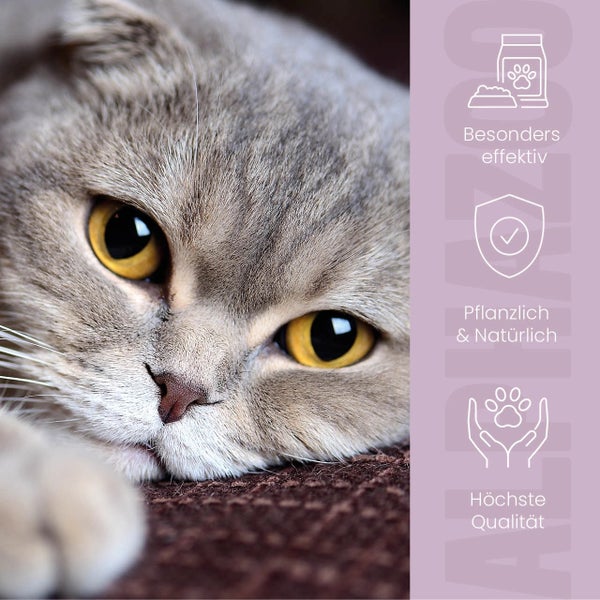 Nahaufnahme einer Katze mit Produktvorteilen dargestellt